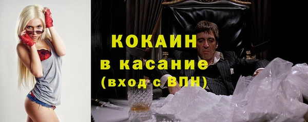 прущие грибы Михайловск