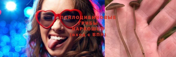 ПСИЛОЦИБИНОВЫЕ ГРИБЫ Надым