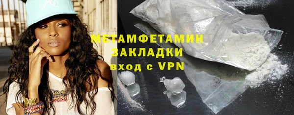 прущие грибы Михайловск