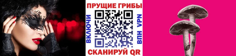 где найти наркотики  Новоузенск  Галлюциногенные грибы Cubensis 